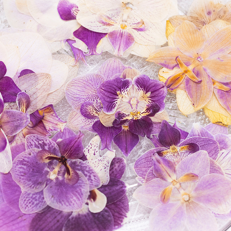 4 têtes de fleurs d'orchidées  - Dried Flower Bookmark avis et prix