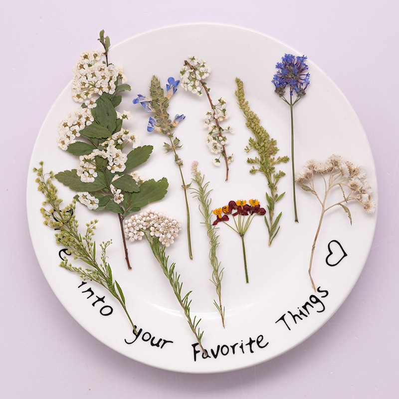 Lot de 500 grandes fleurs de f - Dried Flower Bookmark avis et prix